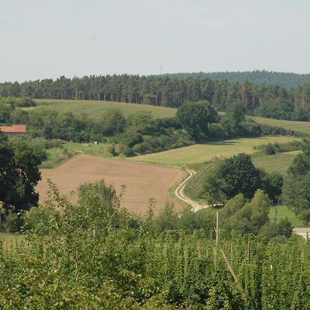 Ferienwohnung Passivhaus "Schoene Aussicht" Georgensgmund Buitenkant foto