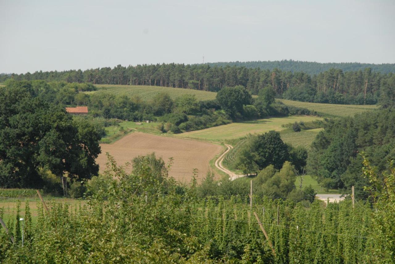 Ferienwohnung Passivhaus "Schoene Aussicht" Georgensgmund Buitenkant foto